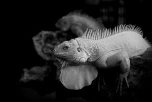 デート前に汗をかかないための効果的な方法は？