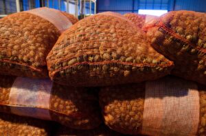 仕事帰りのデートに最適な準備方法は？