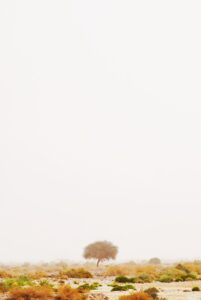 5分でできる男性の匂いケア方法とは？