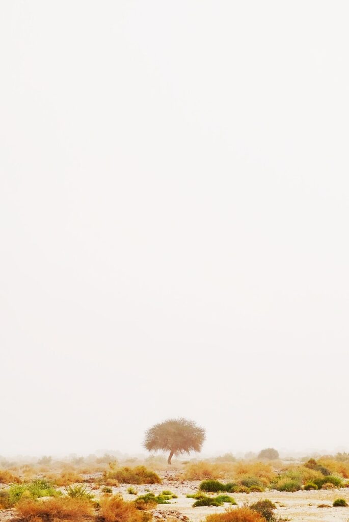 5分でできる男性の匂いケア方法とは？