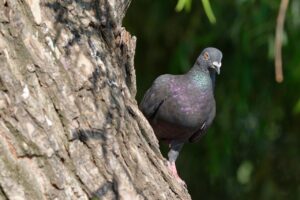 身だしなみを整えるための男性におすすめのグッズは？