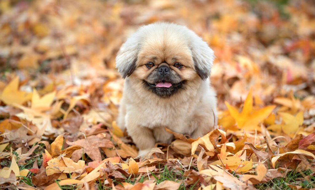 口臭対策に最適なサプリおすすめは？