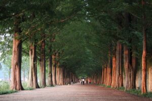 口臭を彼女に指摘されないためのコツは？