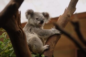 ミニポーチの中身例としておすすめのメンズエチケットアイテムは？