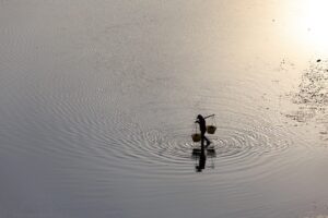 仕事帰りのデートにぴったりな予算2000円のセットは？