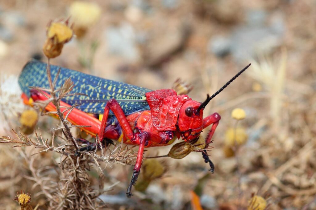 出張用ミニポーチで匂いケアに必要な一式は？