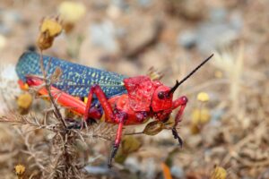 出張用ミニポーチで匂いケアに必要な一式は？