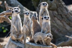 デート前の匂いで失敗しないために知っておくべきことは？