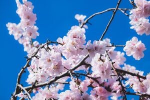 匂い対策の方法はこれで決まり！あなたにぴったりの解決策は？